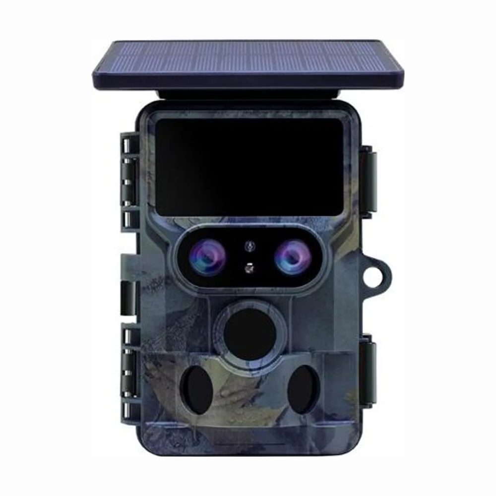 WildLifeBlog Owl - Solar