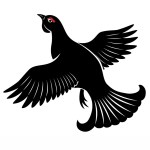TrailCam Logo